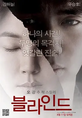盲证 블라인드1080P内封中文字幕